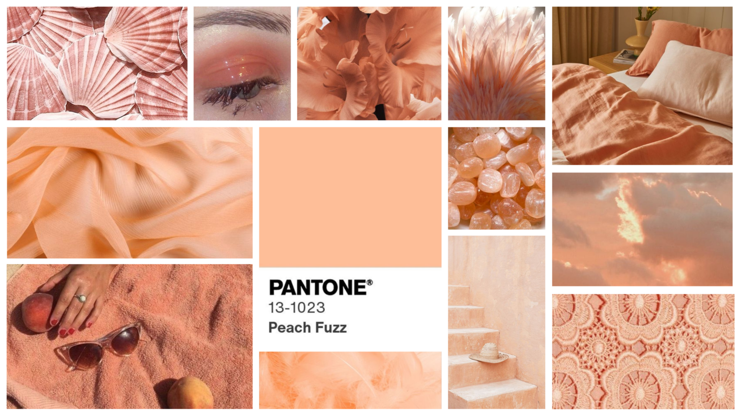 How to Incorporate Pantone’s Color of the Year 2024 Into Your Home Decor